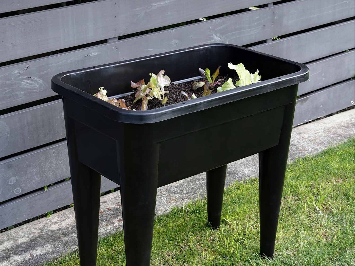 Strol raised garden bed with vegetables