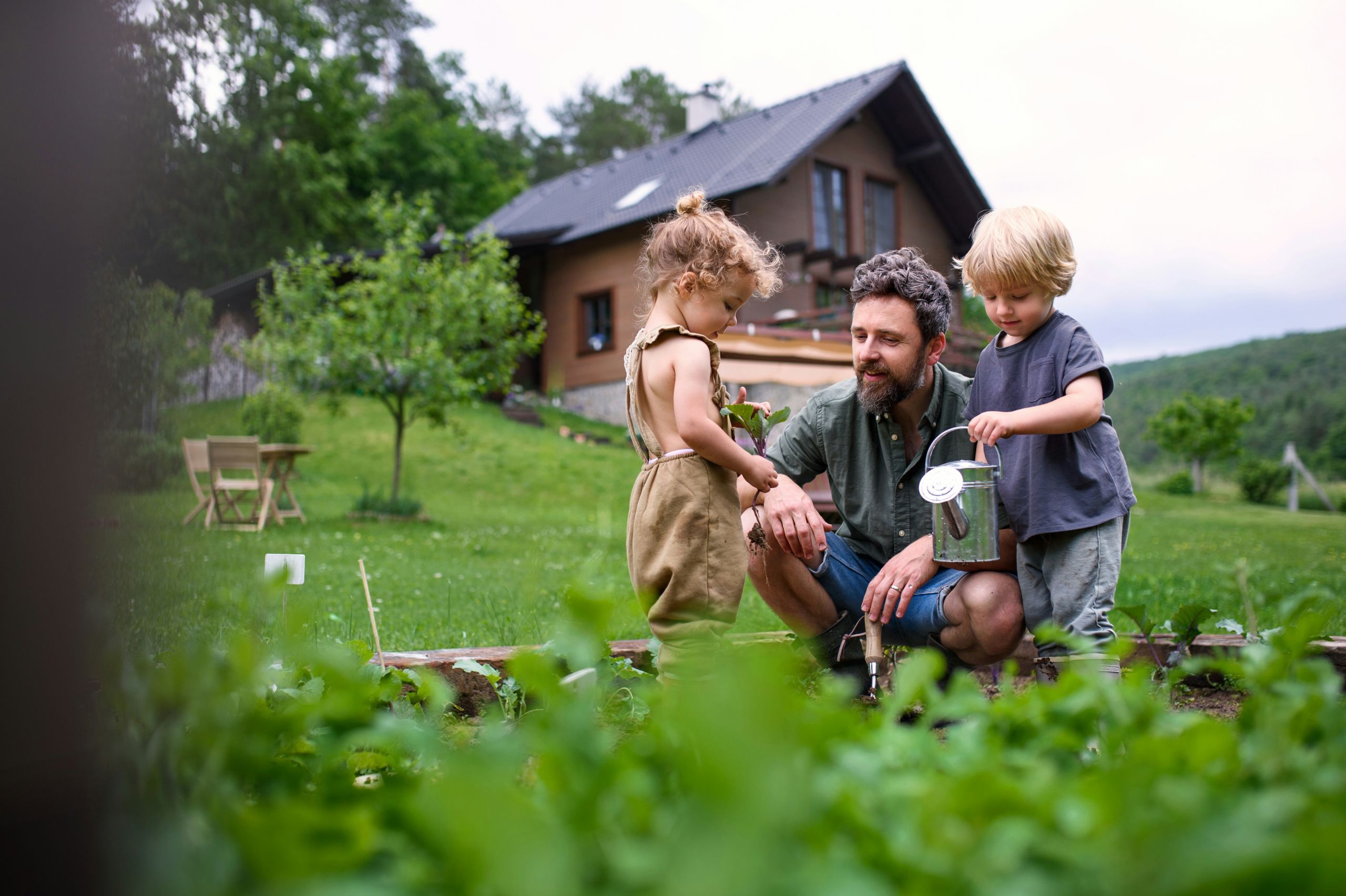 Family watering vegetables together in a home garden