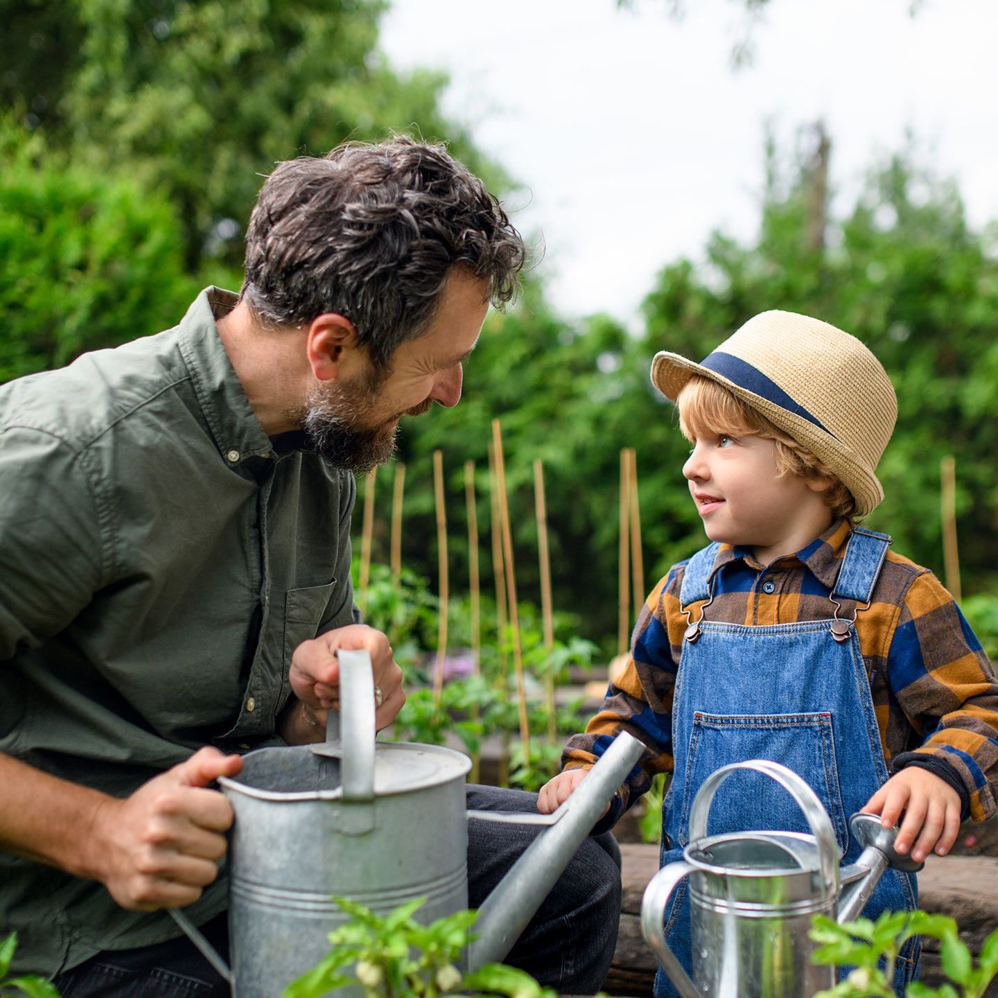 Father and son watering plants in a vegetable garden